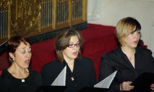 IMGP0046.JPG