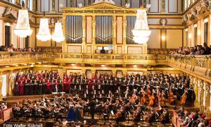 Foto Concierto en Musikverein -2.jpg